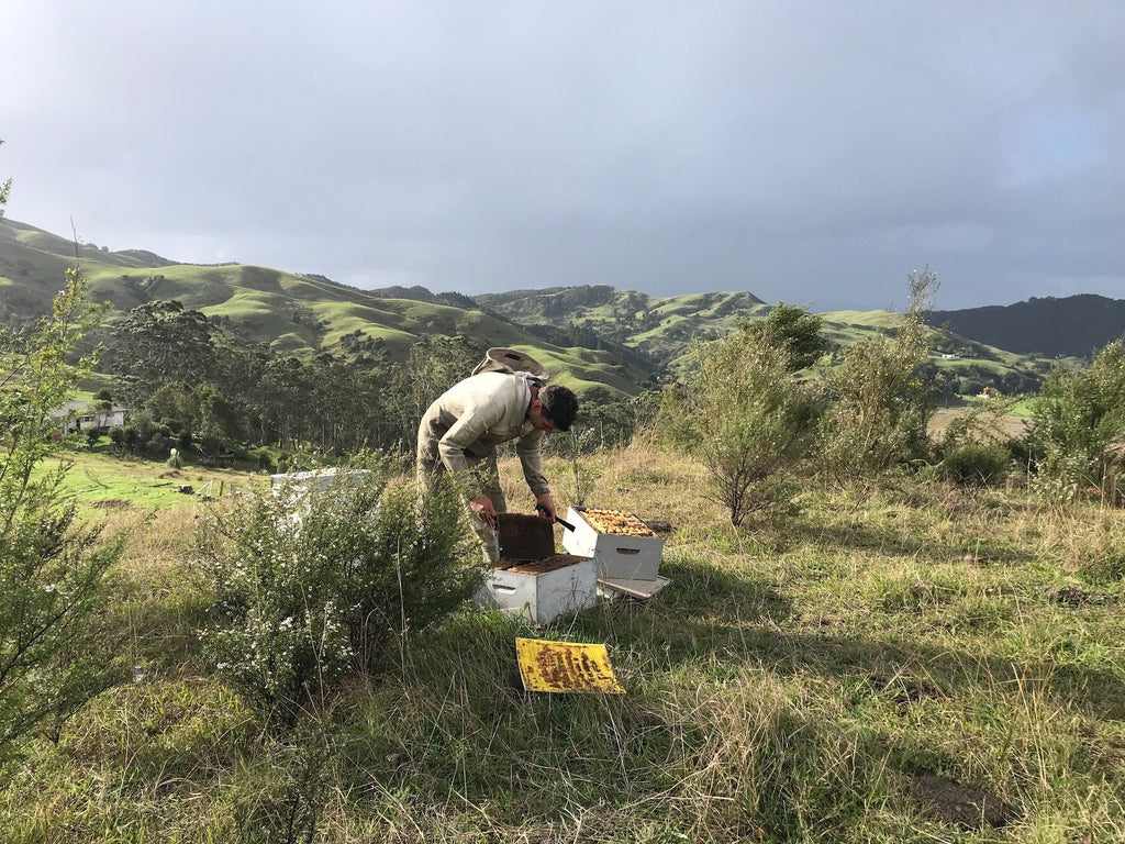 Why Ethical Beekeeping and Fair Prices Matter - For Bees, Beekeepers, and You