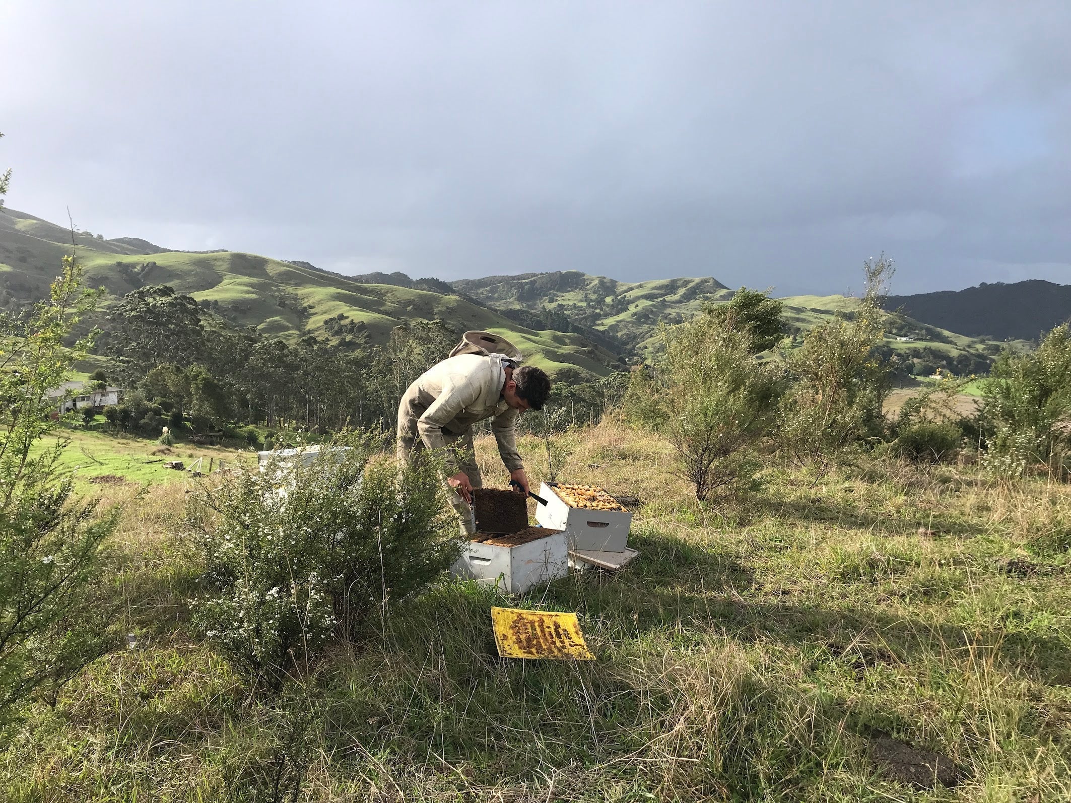 Why Ethical Beekeeping and Fair Prices Matter - For Bees, Beekeepers, and You