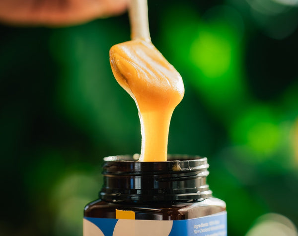 Mānuka Honey for Gut Health: What the Science Actually Says